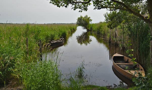 Briere marsh area,Brittany, France.La Grande Bri&egrave;re has been a nature park since 1970 and, with its 40,000 hectares, is the second largest marshland in France after the Camargue.