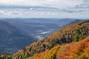 Autumn landscape with view of autumn colored trees in Vosges Mountains,