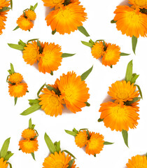 Seamless pattern orange flowers with a leaf on a white background. Printing on textiles, tablecloths, napkins and product packaging design. Printing on clothes.
