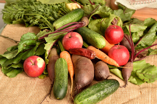 In the picture, ripe vegetables, beets, cucumbers, carrots and apples lie on the table.