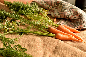 In the picture, a red carrot vegetable with green tops lies on a cloth.