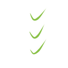 Checklist hand drawn, Check, Sign, Checklist elements