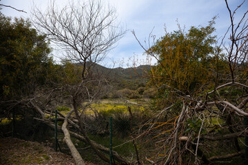 Nature of South Sardinia, Italy