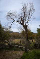 Nature of South Sardinia, Italy