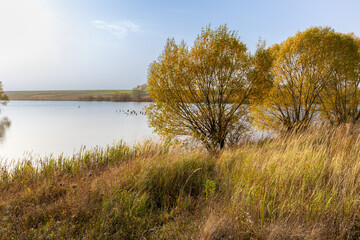 landscape with lake in autumn