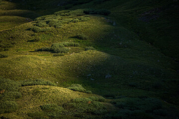 high tundra field with dramatic lighting