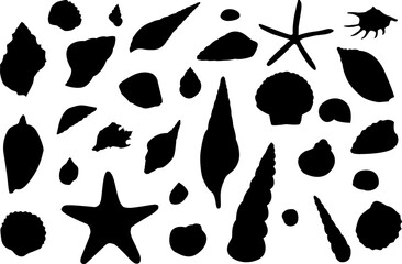 Vector shell icons on isolated white background