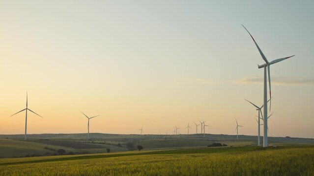 Windmolen ferm in summer field at sunset