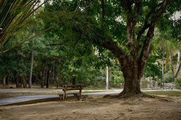 Linda Paisagem de parque aquático, com banquinho antigo entre grandes árvores e muito verde, lembrando nostálgica paisagem rural do interior, localizado em Caldas Novas, Goiás, Brasil.