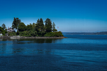 2022-07-28 BAINBRIDGE ISLAND BLUFF WITH SEVERAL TREES AND A ROCK WALL ON PUGET SOUND WITH A NICE...