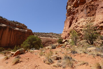 Capitol Reef National Park, Utah