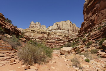 Fototapeta premium Capitol Reef National Park, Utah