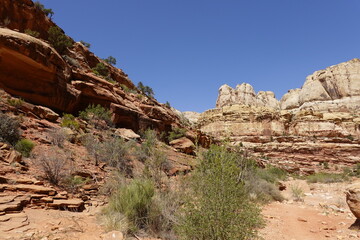 Fototapeta premium Capitol Reef National Park, Utah
