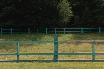 Fototapeta premium Lawn on the farm, fenced for pets, livestock pen