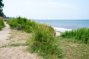 View from the Cliff at the coast on the Baltic Sea, beach, sand and sun on a beautiful vacation day