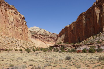 Fototapeta premium Capitol Reef National Park, Utah
