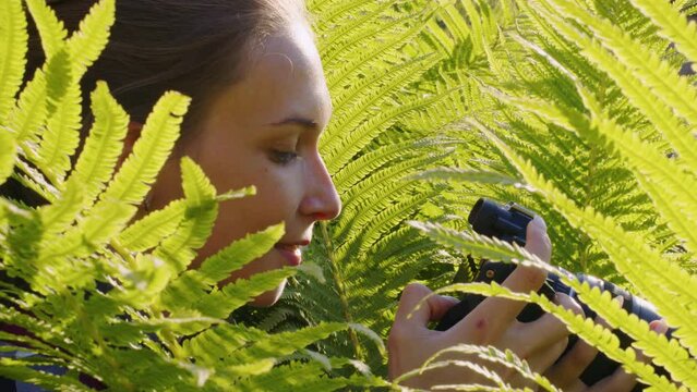Young woman takes pictures of animals and birds on professional camera. Female photographer, hiding among fern bushes, shooting of wildlife, nature, landscape. Profile view. Paparazzi