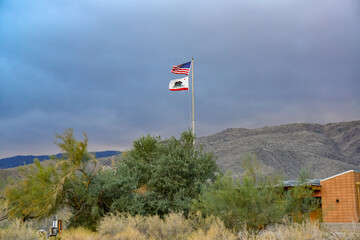 a sign with the name of a succulent plant or cactus near the Park visitor center in California