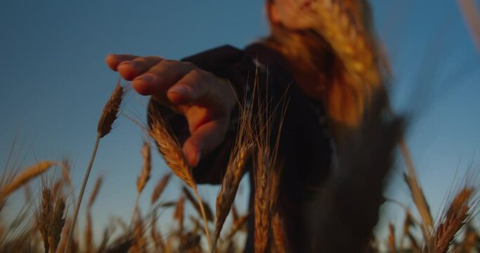 Portrait of young beatiful girl in ukrainian vyshyvanka or embroidered shirt  plays with ears of wheat on a wheat field in the rays of the setting sun or rays of the rising sun
Close up of womans hand
