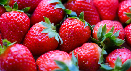 Close-up of a large number of strawberries. Natural background