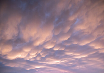 dramatic mammals clouds at sunset