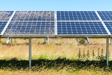 Contrast between clean and dirty solar panels in an array with the sections adjarnt in a field of...