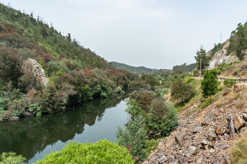 Fototapeta na wymiar Stones and bushes on a hill by the Mondego river, Penacova PORTUGAL