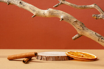 Wood pedestal podium with tree branch, cinnamon sticks, dry orange. Autumn fall cosmetic product...