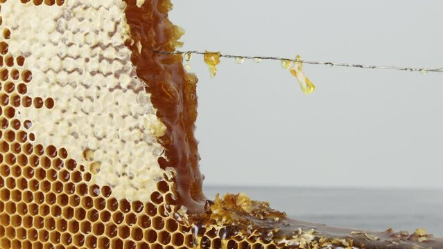 Dripping honey from open honeycomb in wooden frame on the table