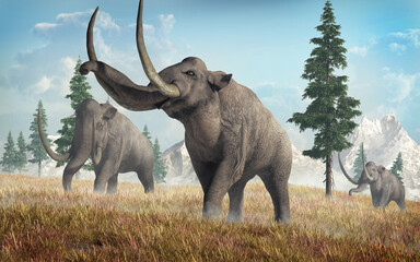 The Columbian Mammoth is an extinct animal that inhabited warmer regions of North America during the Pleistocene. Here three of them walk on a grassy slope. 3D rendering
