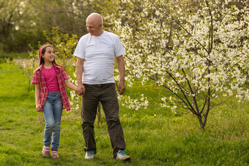 Grandfather And Granddaughter Walking the cherry trees