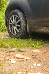 Fototapeta na wymiar Wheel of tire is dirty, mud
