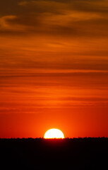 Sunset. When the sun, so close, big, crimson red, fantastically beautiful, saying goodbye to a summer day, gently gives the last warm rays.