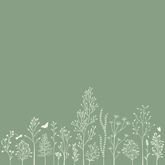 Vector illustration with set of wild plants