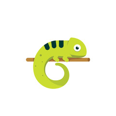 Chameleon