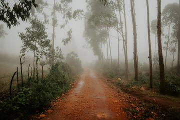 Fototapeta na wymiar foggy morning in Africa, red roads in Kenya