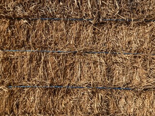 Hay bale, dray grass texture background