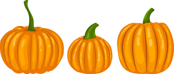 orange pumpkins in flat style, isolated, vector