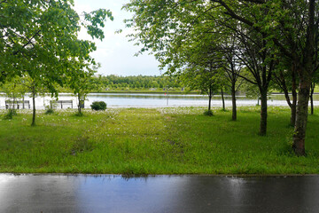 Park with trees and benches, river and wet road after the rain