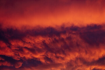 Fototapeta premium Vibrant Orange Sunset