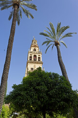 Tower of the Mezquita Cathedral of Cordoba on a bright sunny day, Andalusia, Spain.