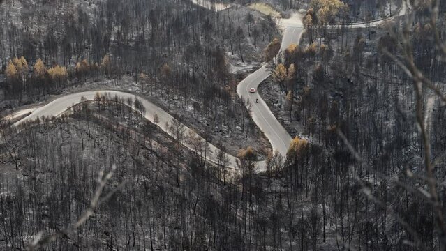 Mountain Road surrounded by burnt forest after bush fire - Disaster Climate change problem