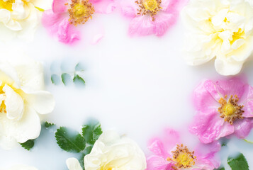 Obraz na płótnie Canvas Bush rose in milk . Flowers in milk . Spa treatments. Romantic. Romantic setting. Fresh flowers. Copy space .