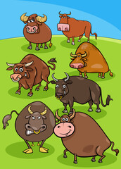 cartoon bulls farm animals in the meadow