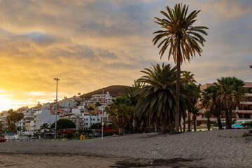 Fototapeta premium trees at sunset