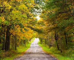 Back road through a tunnel of green and yellow trees in autumn in the Holmes County, Ohio countryside