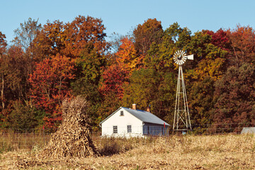 Corn shock in a field with an Amish house and a windmill against a backdrop of colorful autumn trees in Holmes County, Ohio