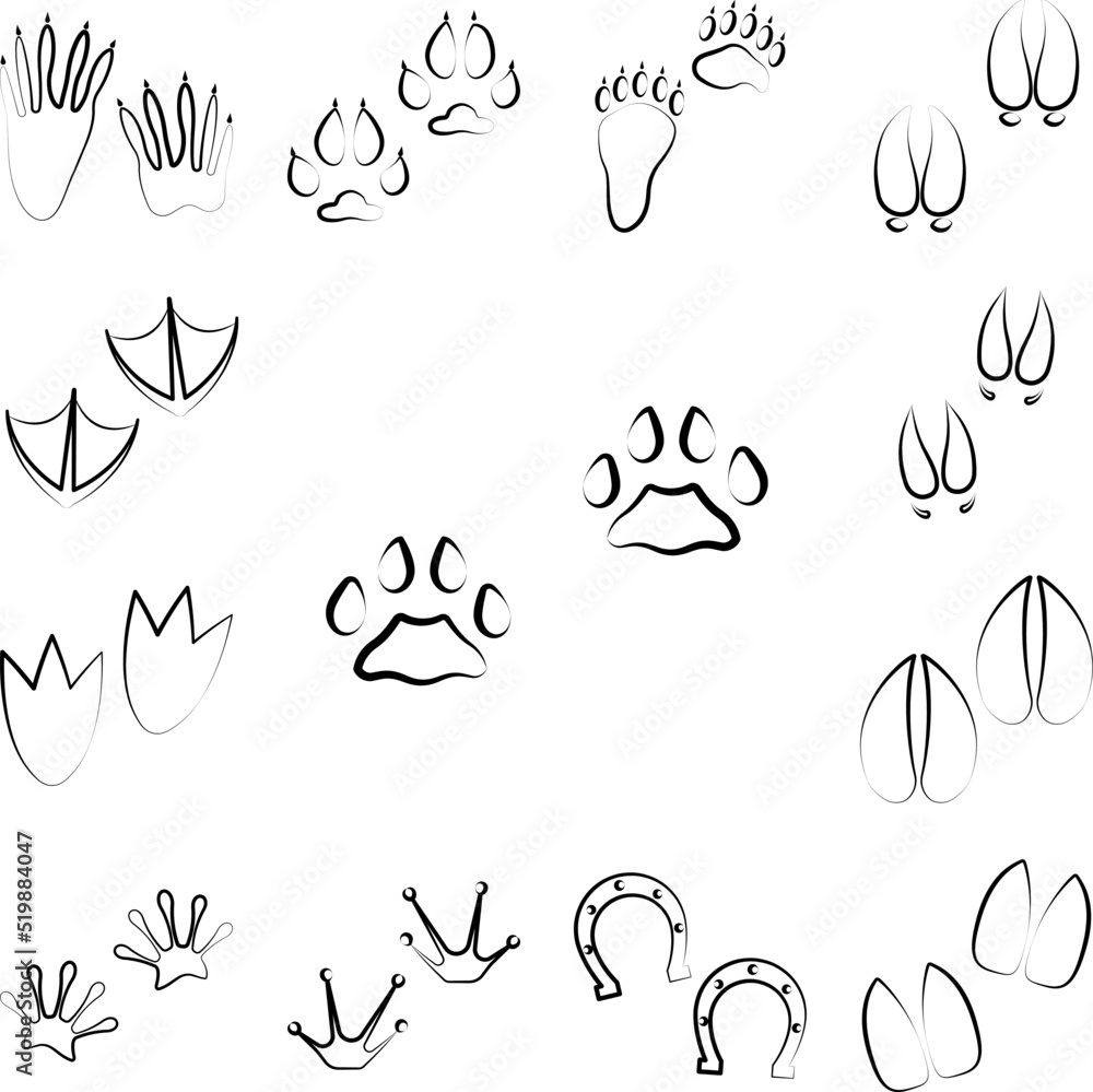 Poster bobcat tracks icon in a collection with other items