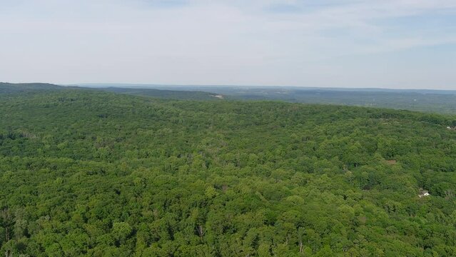 Aerial video of beautiful foliate forest and green trees captured by a drone camera