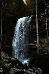 waterfall in the forest